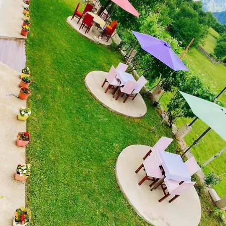 Guest house Vila Silvester *